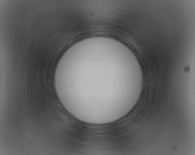 X0000093450417200710121009