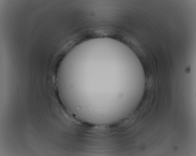 X0000093450418200710121009