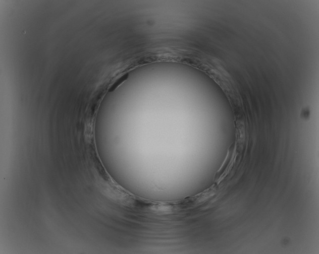 X0000093450419200710121009