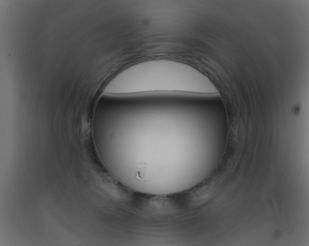 X0000093450420200710121009
