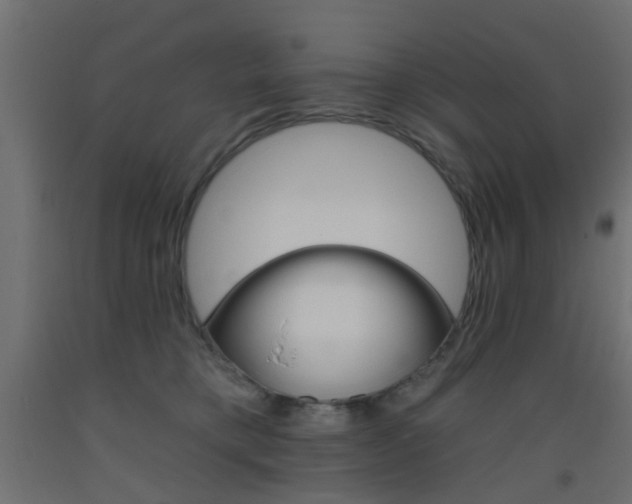 X0000093450421200710121009