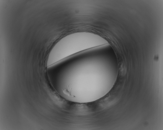 X0000093450424200710121009