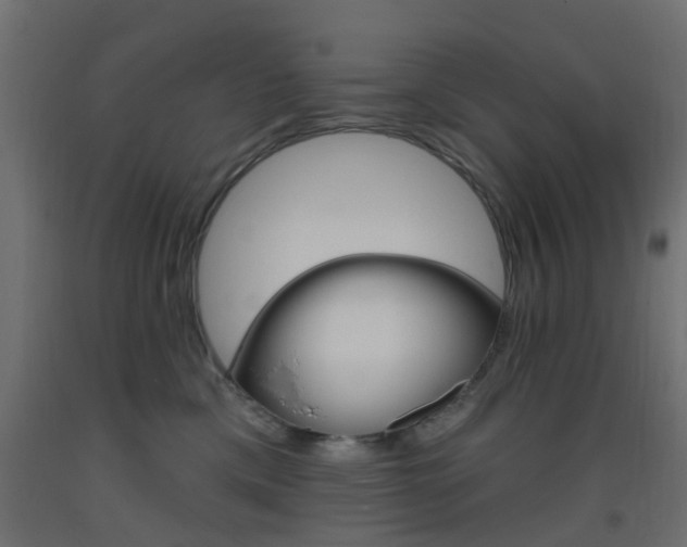 X0000093450425200710121009
