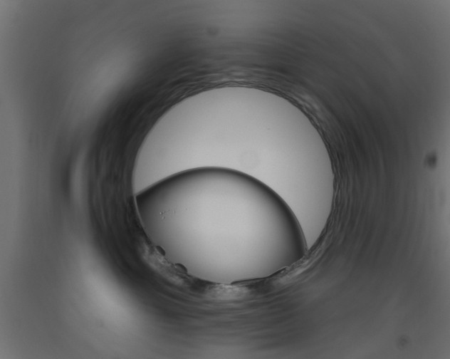 X0000093450429200710121009
