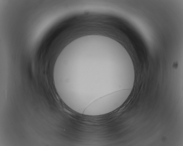 X0000093450431200710121009