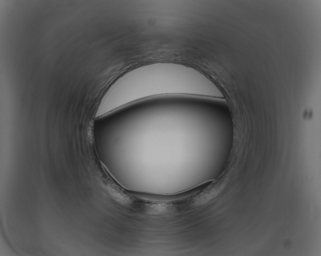 X0000093450432200710121009