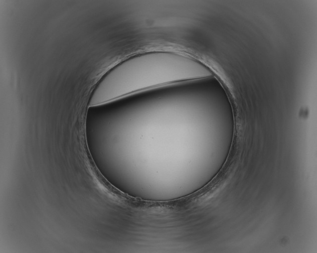 X0000093450433200710121009