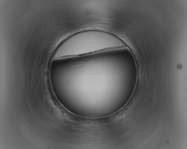 X0000093450434200710121009