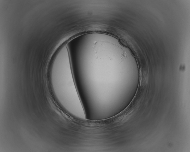 X0000093450435200710121009