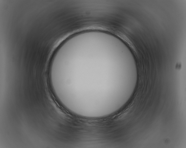 X0000093450436200710121009