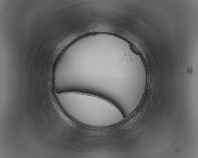 X0000093450437200710121009