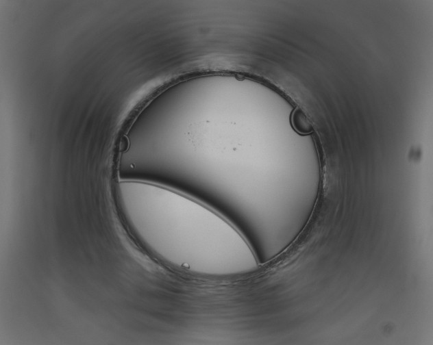 X0000093450438200710121009