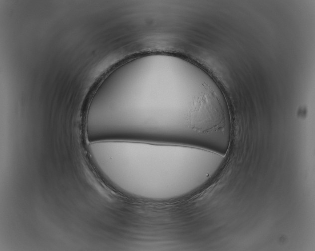 X0000093450439200710121009