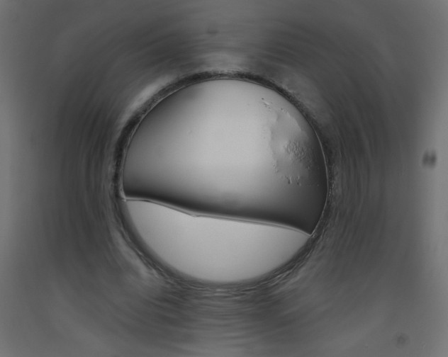 X0000093450440200710121009