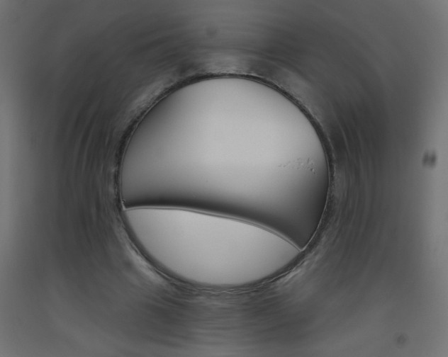 X0000093450441200710121009