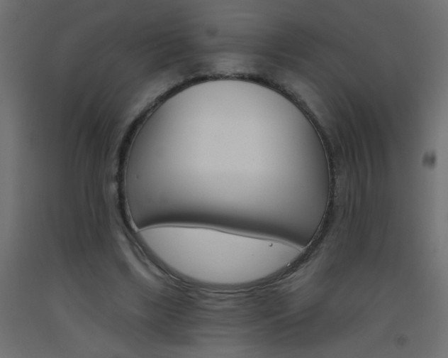 X0000093450443200710121009
