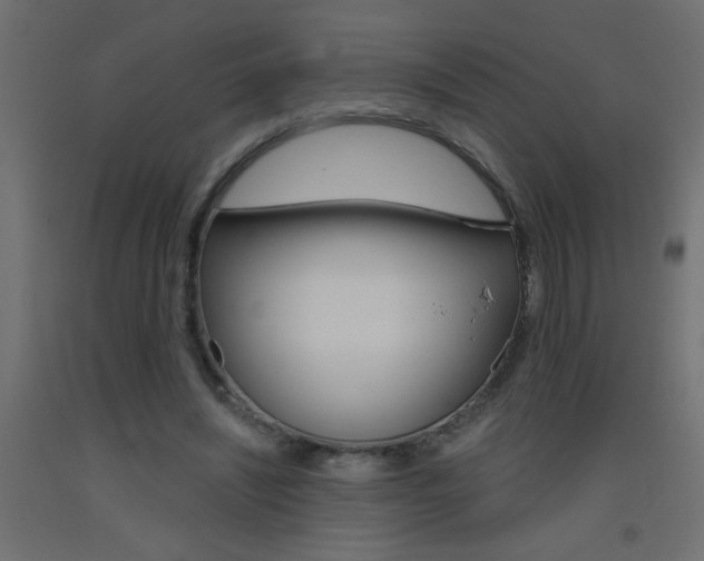 X0000093450444200710121009
