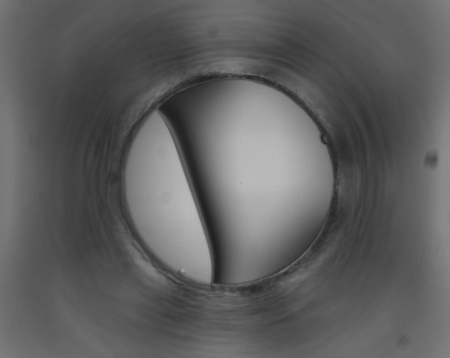X0000093450445200710121009