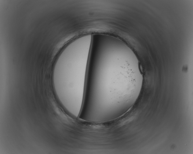 X0000093450446200710121009