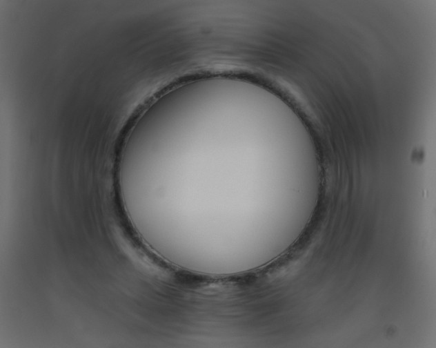 X0000093450447200710121009