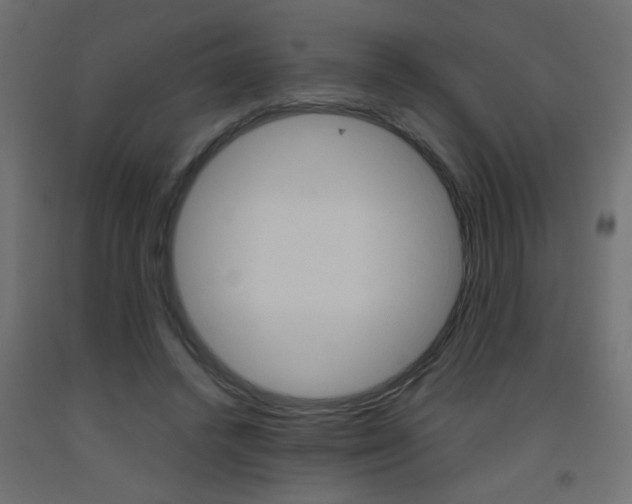 X0000093450448200710121009