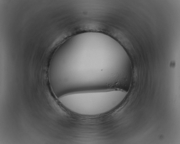 X0000093450449200710121009