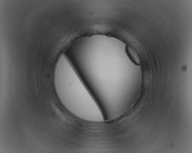 X0000093450451200710121009