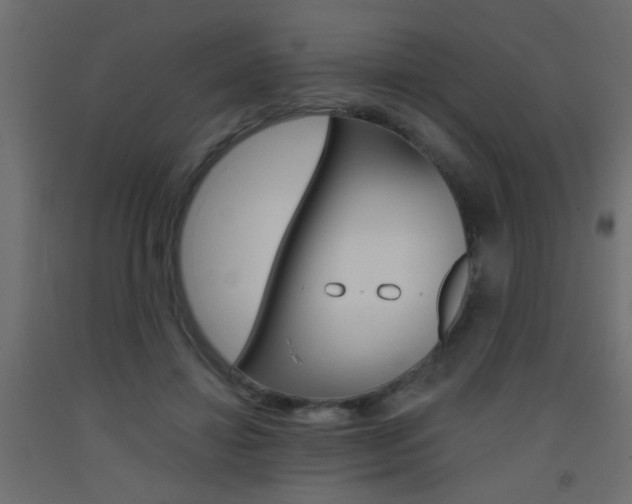 X0000093450452200710121009