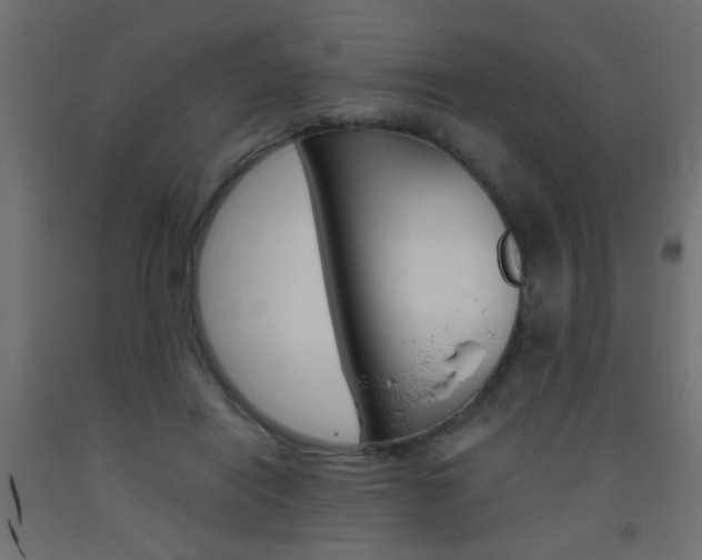 X0000093450454200710121009