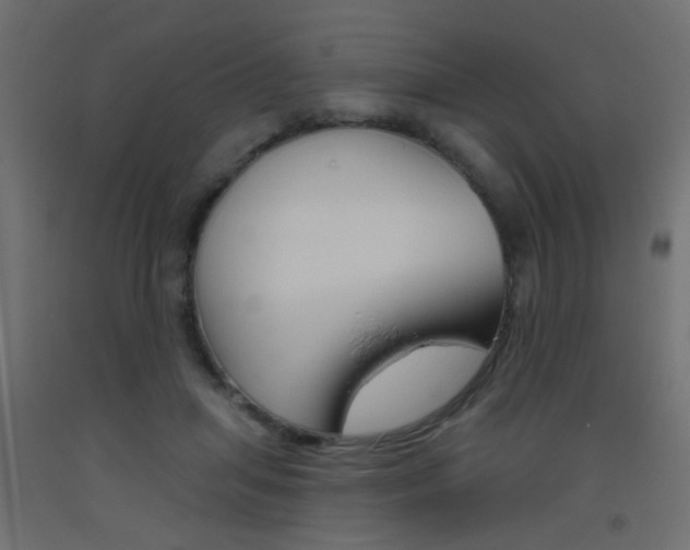 X0000093450455200710121009