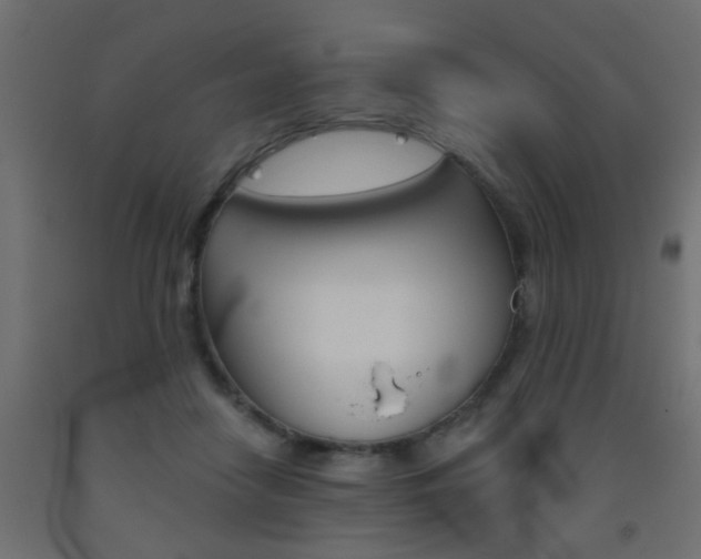 X0000093450458200710121009