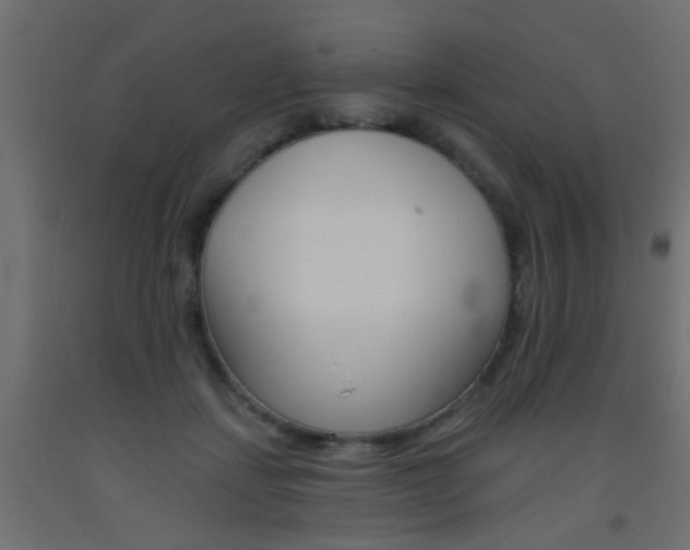 X0000093450459200710121009