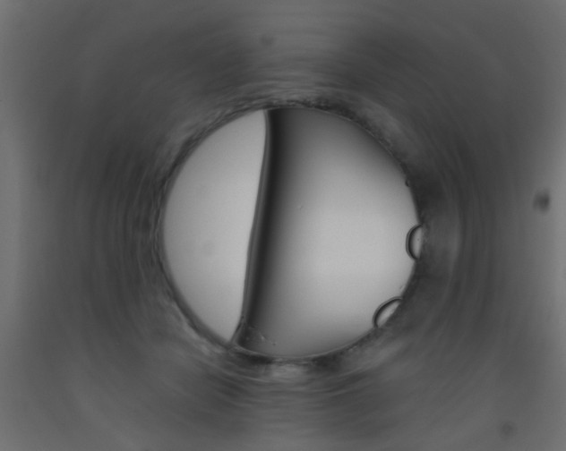 X0000093450462200710121009