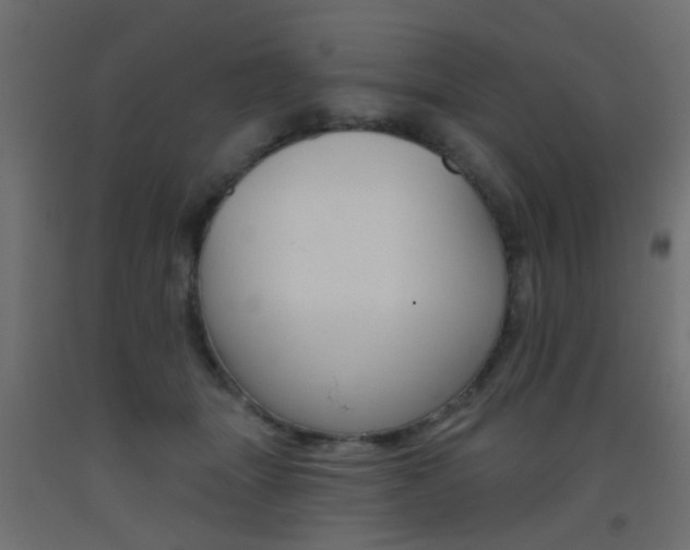 X0000093450463200710121009