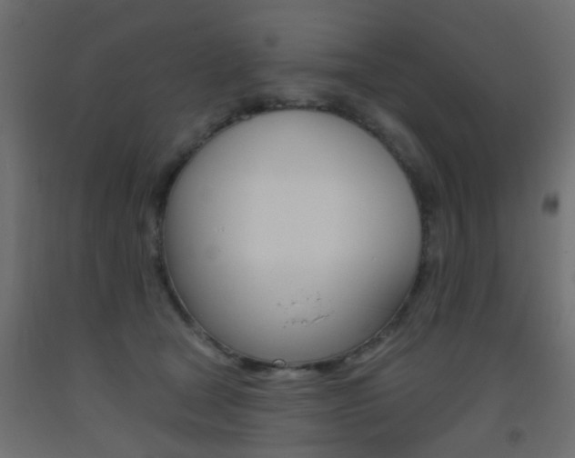 X0000093450465200710121009