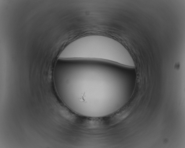 X0000093450466200710121009