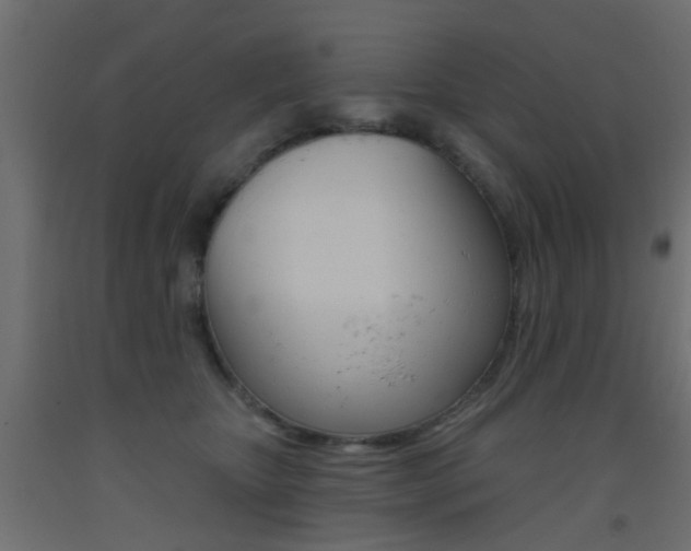 X0000093450467200710121009