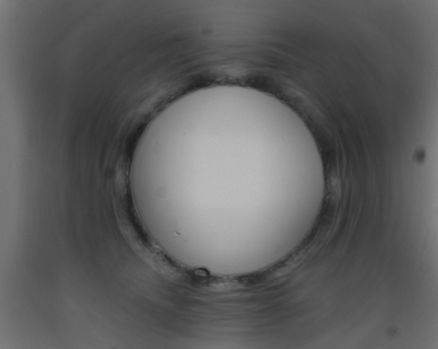 X0000093450468200710121009