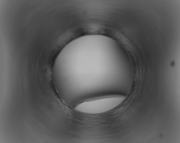 X0000093450469200710121009