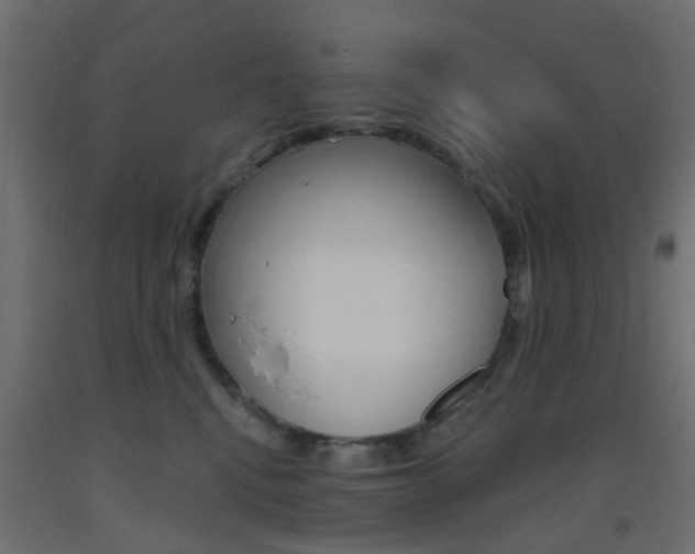 X0000093450472200710121009