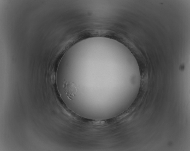 X0000093450474200710121009