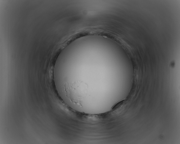 X0000093450475200710121009