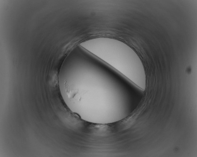 X0000093450478200710121009