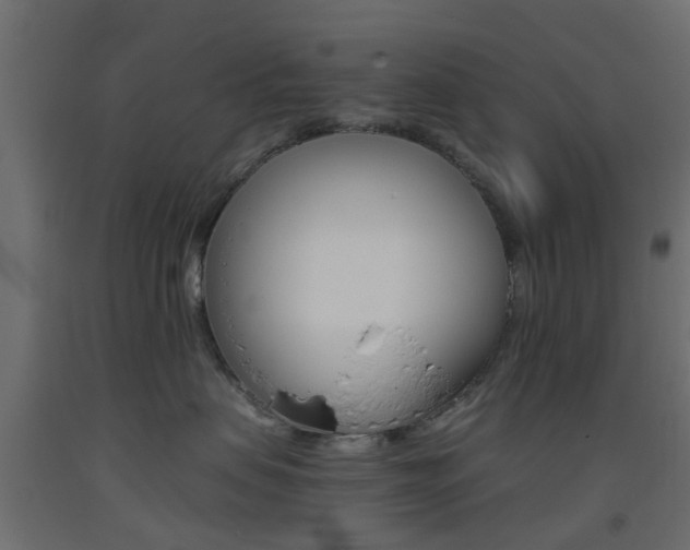 X0000093450479200710121009