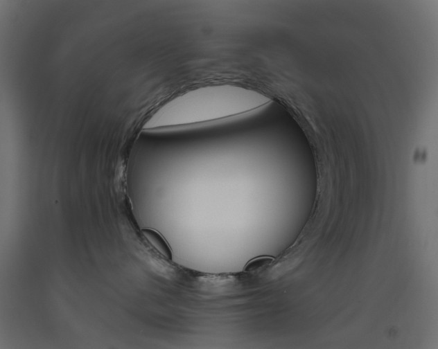 X0000093450480200710121009