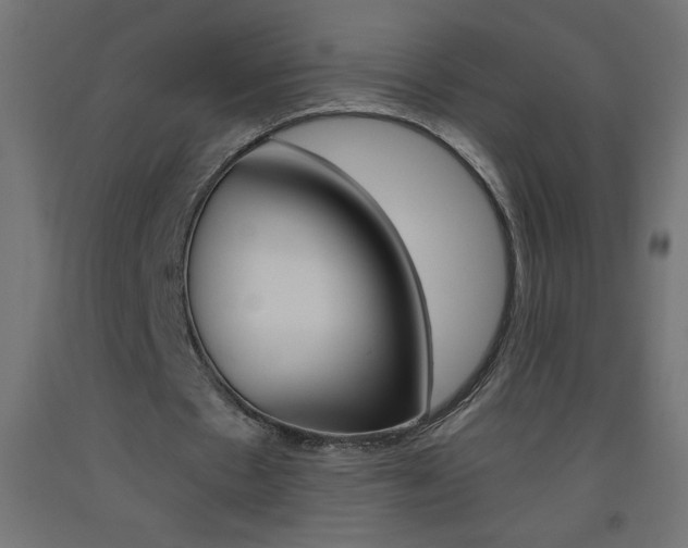 X0000093450481200710121008