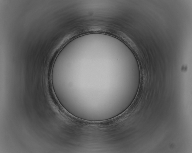 X0000093450482200710121008