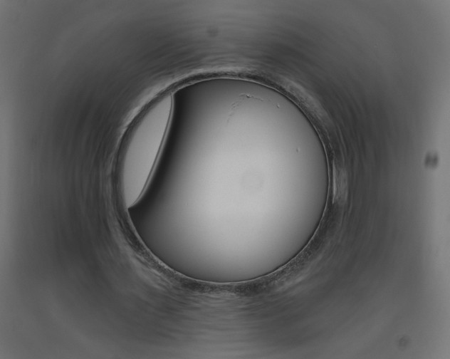 X0000093450483200710121008