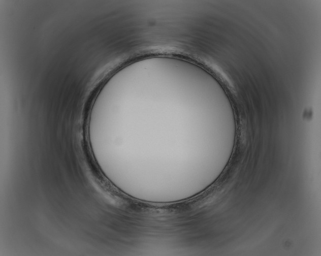 X0000093450486200710121008