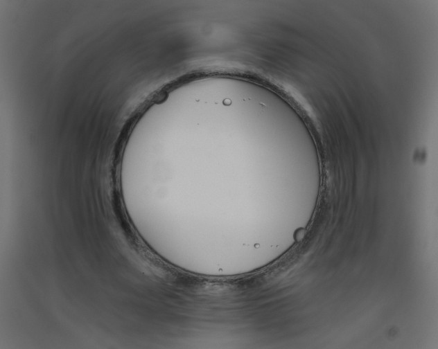 X0000093450487200710121008